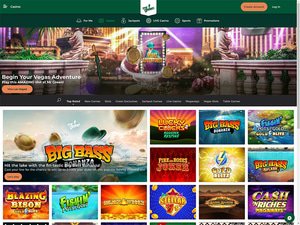 Mr Green Casino website